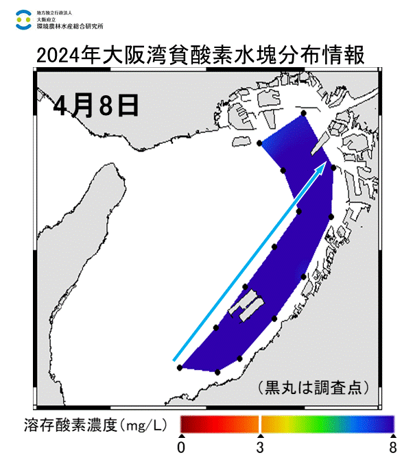 2024年4月8日調査　貧酸素水塊は確認されませんでした。