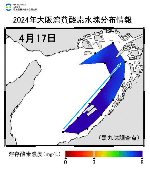 2024年4月17日調査　貧酸素水塊は確認されませんでした。