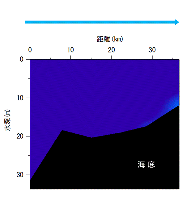 2024年4月17日調査　貧酸素水塊は確認されませんでした。