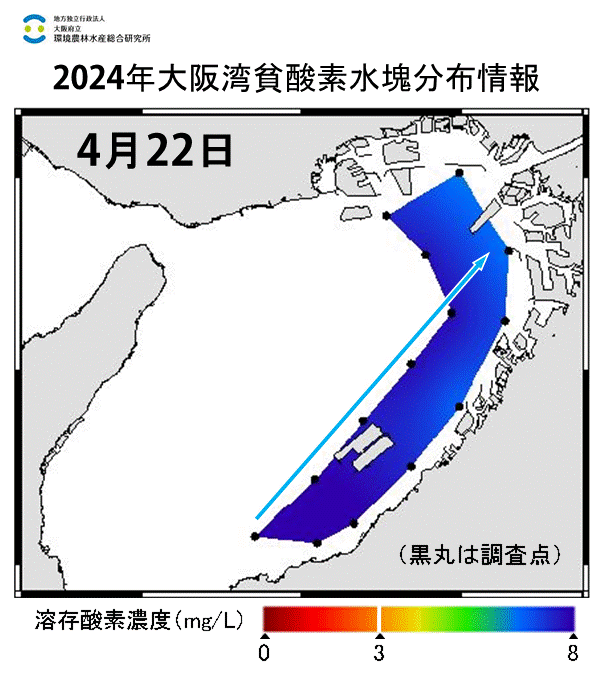 2024年4月22日調査　貧酸素水塊は確認されませんでした。