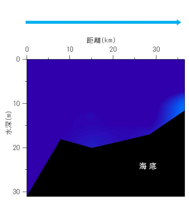 2024年4月22日調査　貧酸素水塊は確認されませんでした。