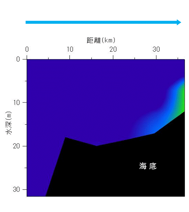 2024年5月8,10日調査　貧酸素水塊は確認されませんでした。