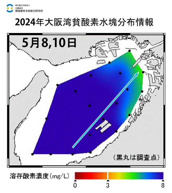 2024年5月8,10日調査　貧酸素水塊は確認されませんでした。