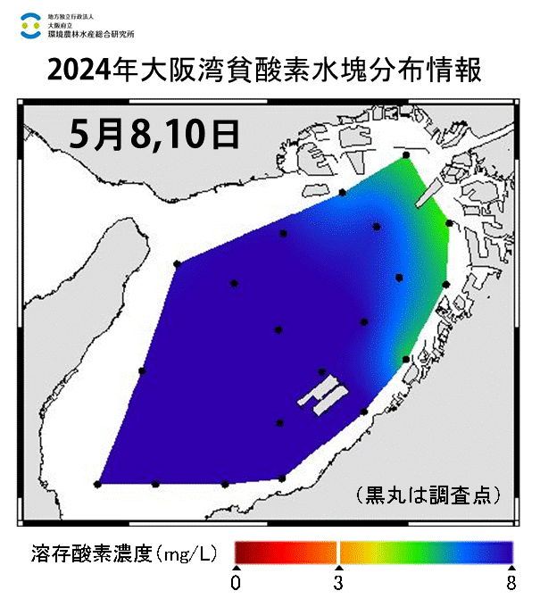 24年5月8,10日調査　貧酸素水塊は確認されませんでした。