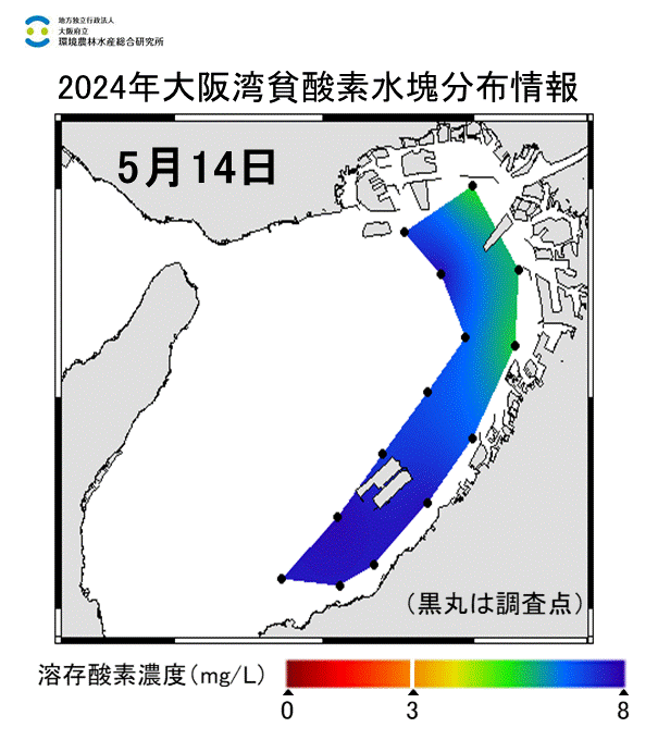 24年5月14日調査　貧酸素水塊は確認されませんでした。