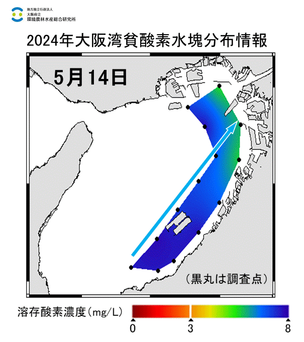 2024年5月14日調査　貧酸素水塊は確認されませんでした。