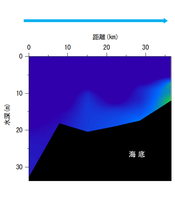 2024年5月14日調査　貧酸素水塊は確認されませんでした。