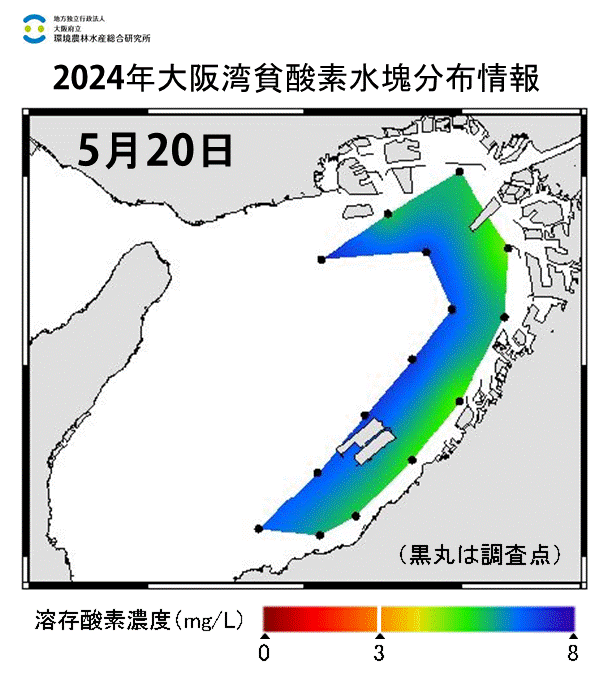 24年5月20日調査　貧酸素水塊は確認されませんでした。