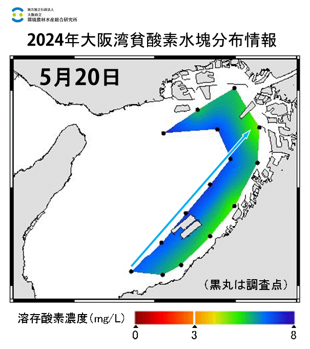 2024年5月20日調査　貧酸素水塊は確認されませんでした。