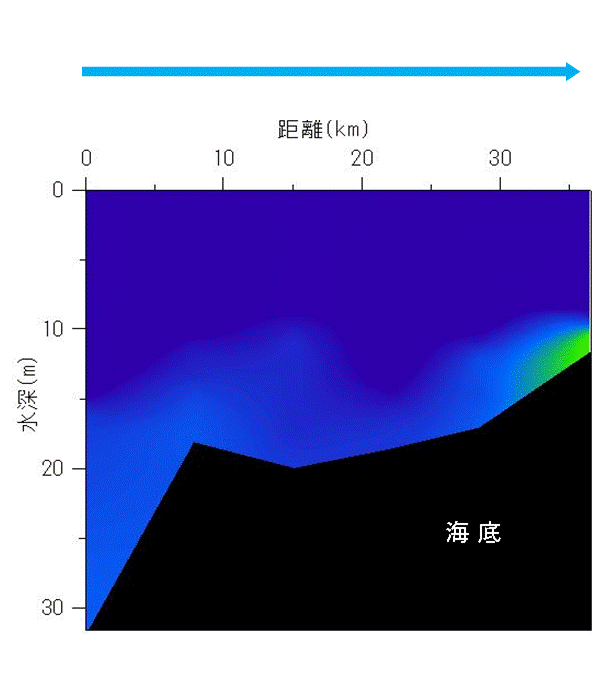 2024年5月20日調査　貧酸素水塊は確認されませんでした。