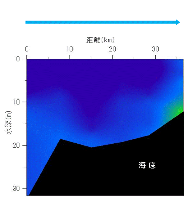 2024年5月29日調査　貧酸素水塊は確認されませんでした。
