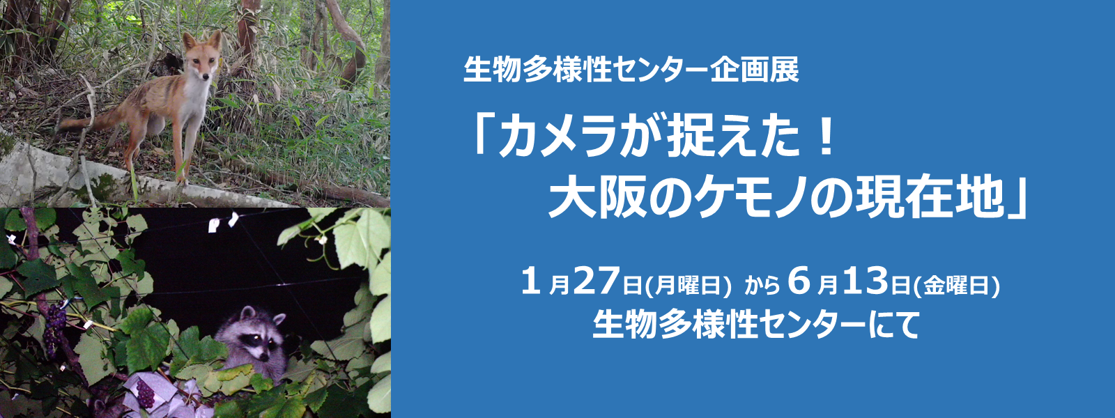 生物多様性センター企画展