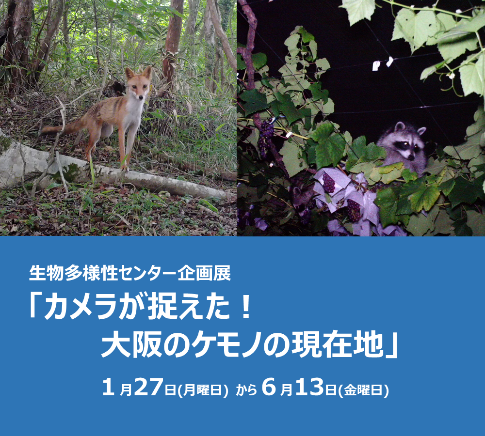 生物多様性センター企画展