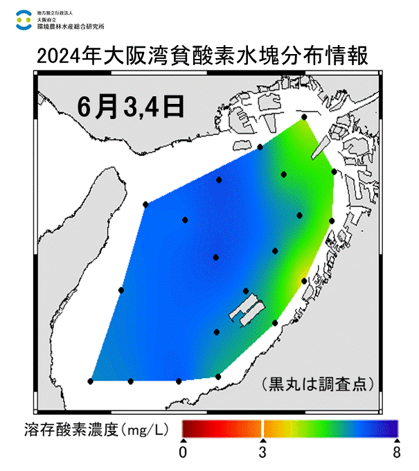 24年6月3,4日調査　貧酸素水塊は確認されませんでした。