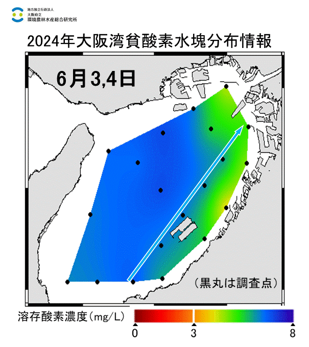 2024年6月3,4日調査　貧酸素水塊は確認されませんでした。