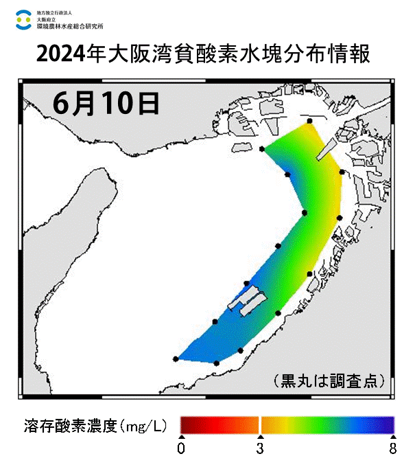 24年6月10日調査　貧酸素水塊は確認されませんでした。