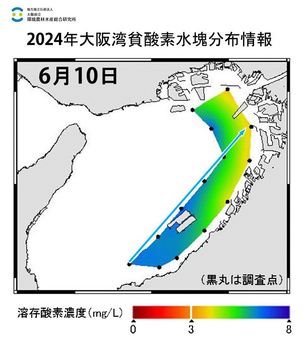 2024年6月10日調査　貧酸素水塊は確認されませんでした。