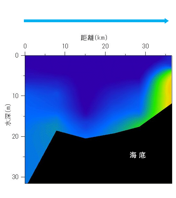 2024年6月10日調査　貧酸素水塊は確認されませんでした。