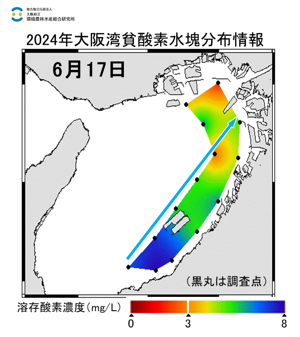 2024年6月17日調査　貧酸素水塊が確認されました。