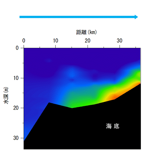 2024年6月17日調査　貧酸素水塊が確認されました。