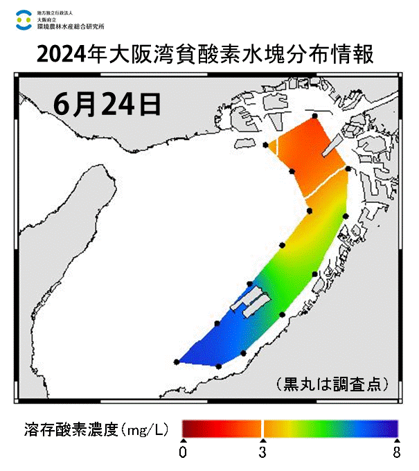 24年6月24日調査　貧酸素水塊が確認されました。