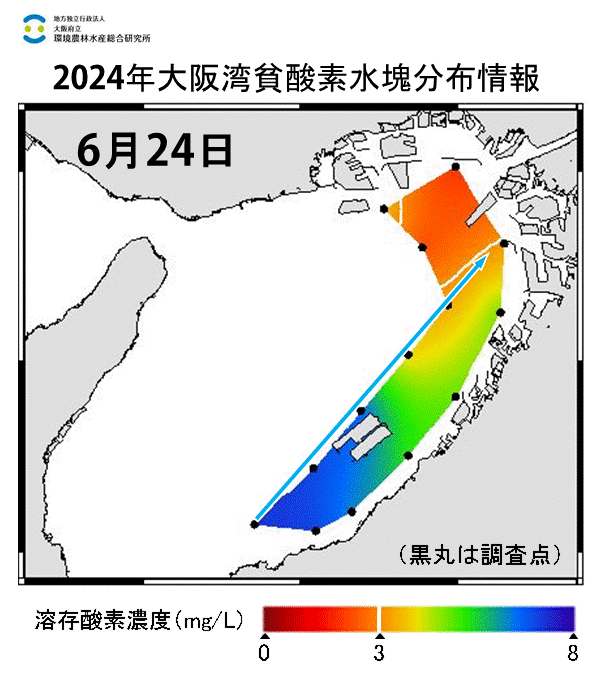 2024年6月24日調査　貧酸素水塊が確認されました。
