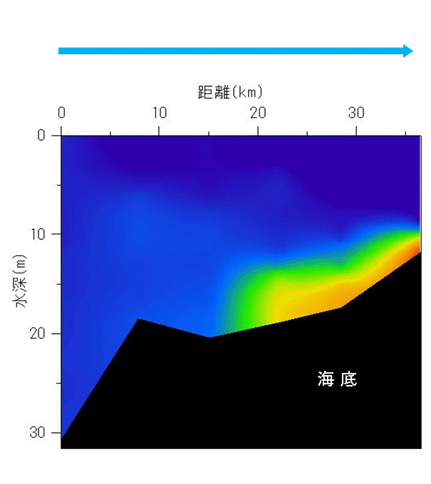 2024年6月24日調査　貧酸素水塊が確認されました。