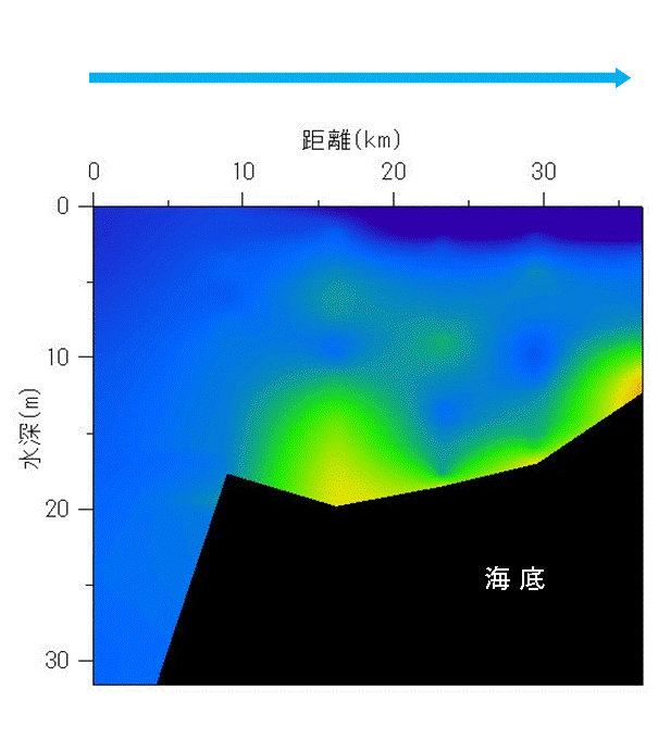 2024年7月2,3日調査　貧酸素水塊が確認されました。