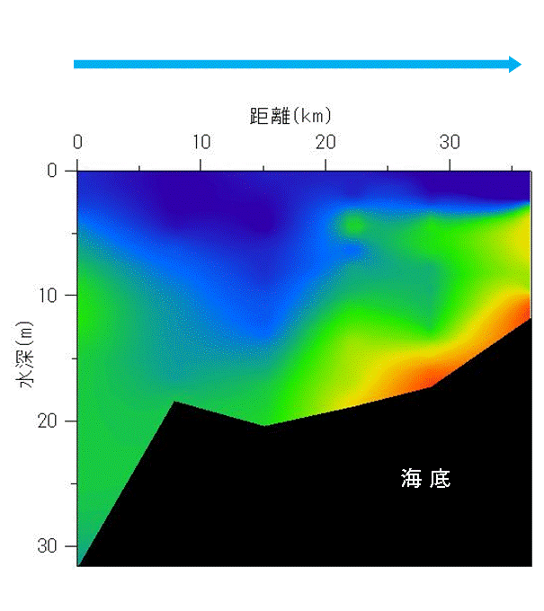 2024年7月8日調査　貧酸素水塊が確認されました。