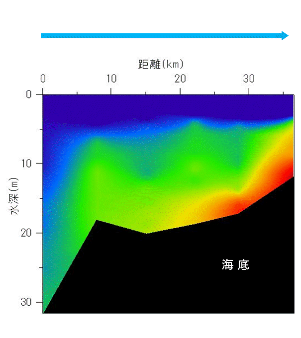 2024年7月16日調査　貧酸素水塊が確認されました。