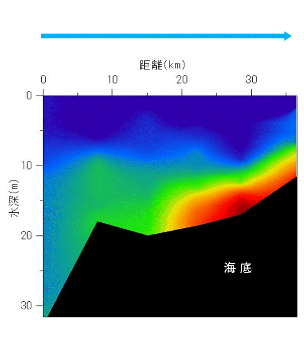 2024年7月22日調査　貧酸素水塊が確認されました。