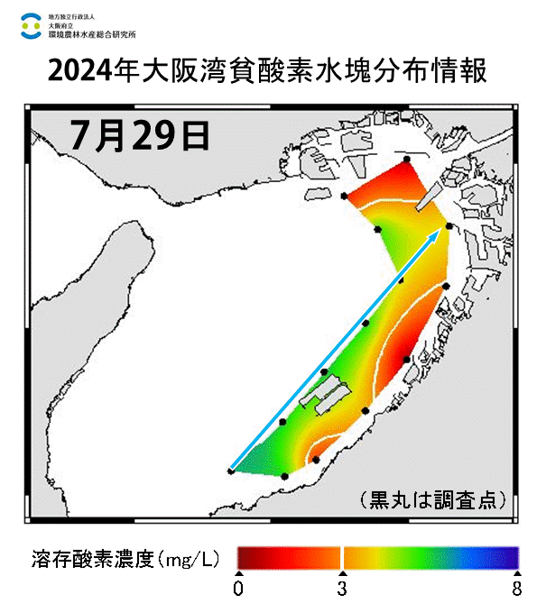 2024年7月29日調査　貧酸素水塊が確認されました。