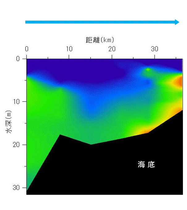2024年7月29日調査　貧酸素水塊が確認されました。