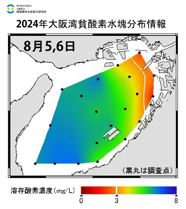 24年8月5,6日調査　貧酸素水塊が確認されました。