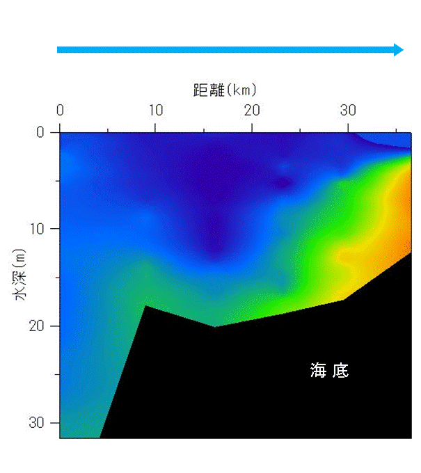 2024年8月5,6日調査　貧酸素水塊が確認されました。