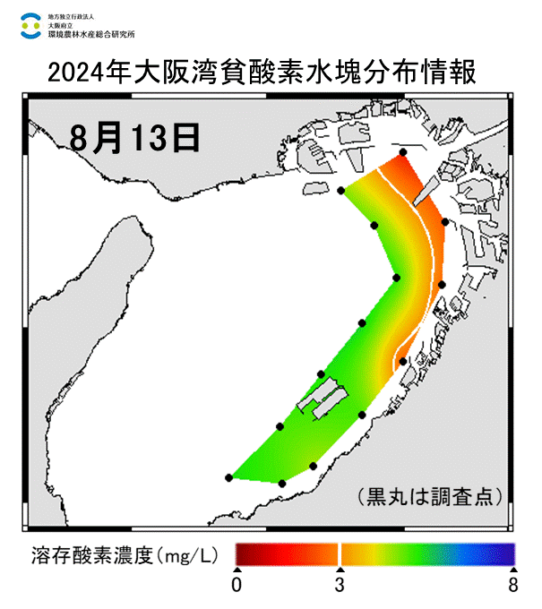 24年8月13日調査　貧酸素水塊が確認されました。