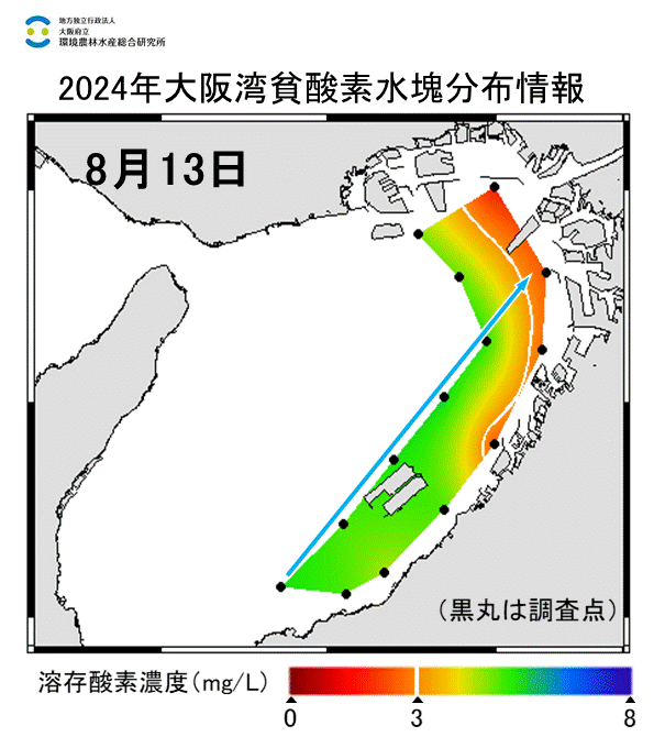 2024年8月13日調査　貧酸素水塊が確認されました。