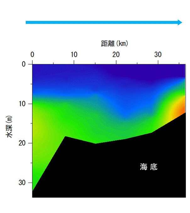 2024年8月13日調査　貧酸素水塊が確認されました。
