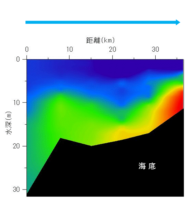 2024年8月19日調査　貧酸素水塊が確認されました。
