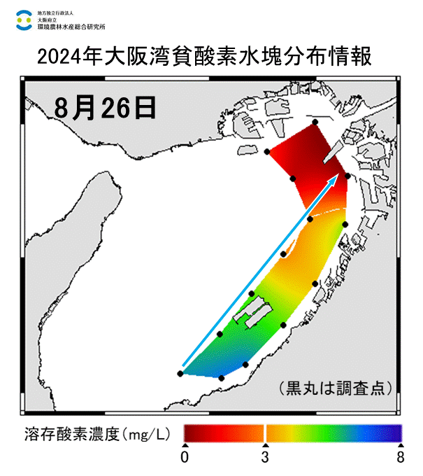 2024年8月26日調査　貧酸素水塊が確認されました。