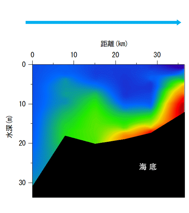2024年8月26日調査　貧酸素水塊が確認されました。