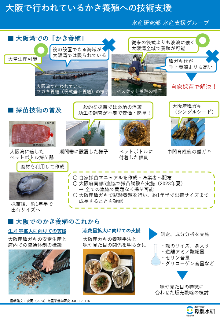 大阪で行われているかき養殖への技術支援
