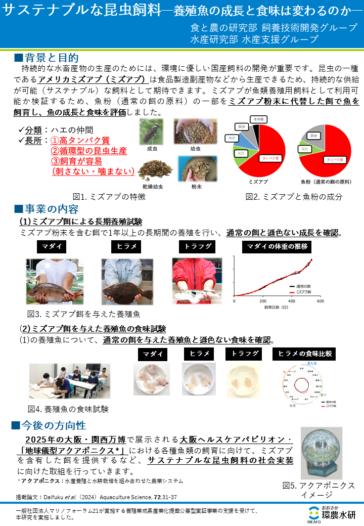 サステナブルな昆虫飼料―養殖魚の成長と食味は変わるのか―