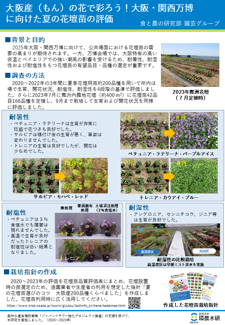 大阪産（もん）の花で彩ろう！大阪・関西万博に向けた夏の花壇苗の評価