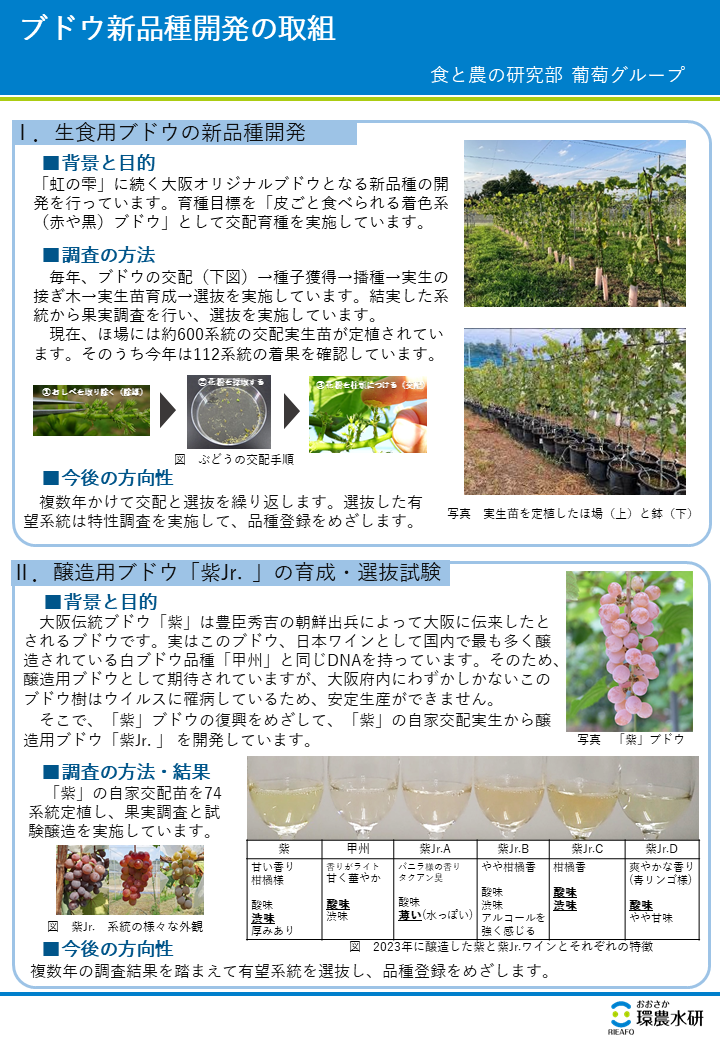 ブドウ新品種開発の取組