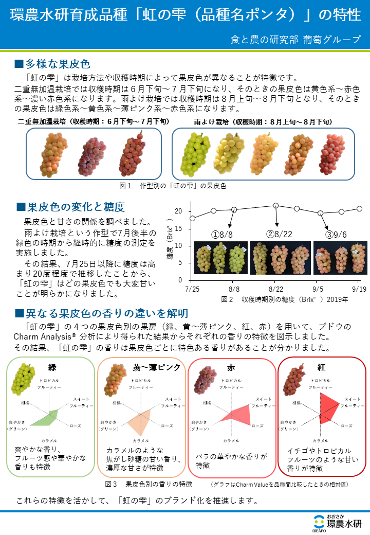 環農水研育成品種「虹の雫（品種名ポンタ）」の特性
