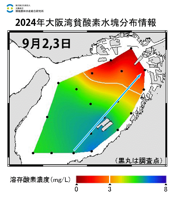 2024年9月2,3日調査　貧酸素水塊が確認されました。