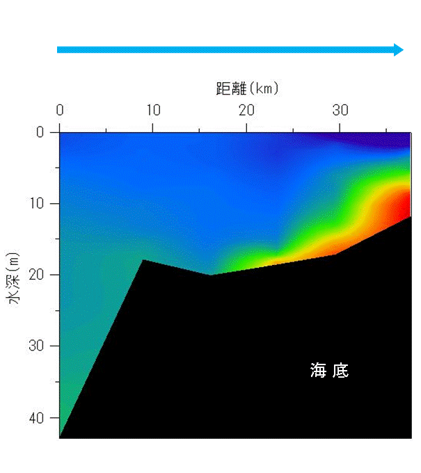 2024年9月2,3日調査　貧酸素水塊が確認されました。