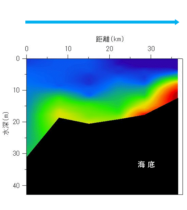 2024年9月9日調査　貧酸素水塊が確認されました。