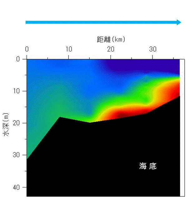 2024年9月17日調査　貧酸素水塊が確認されました。